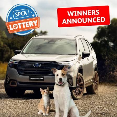 SPCA Lottery promotional image showing the Subaru Forester first prize with a kitten and a puppy